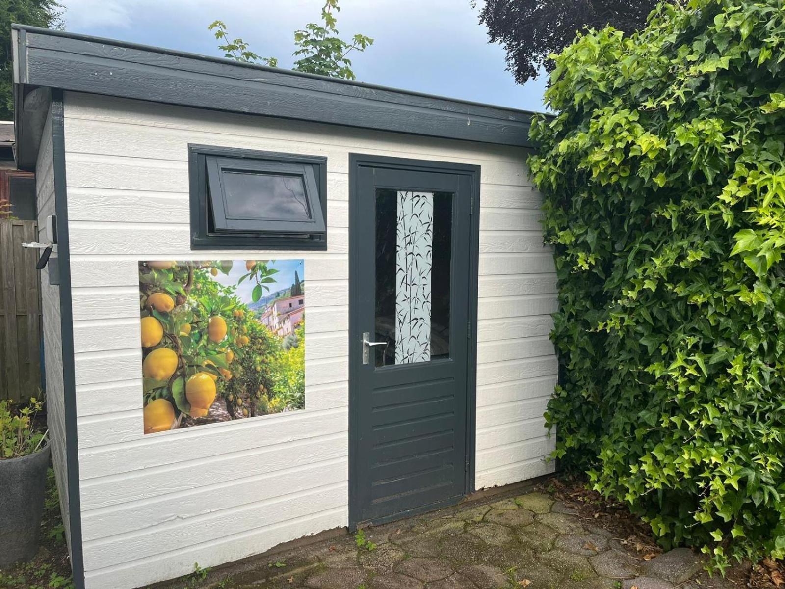 Villa Leuk Chalet Te Huur In Putten, Honden Van Harte Welkom, Alleen Voor Recreatie Exterior foto